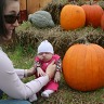 Pumpkin Patch Richardsons in Dunnville